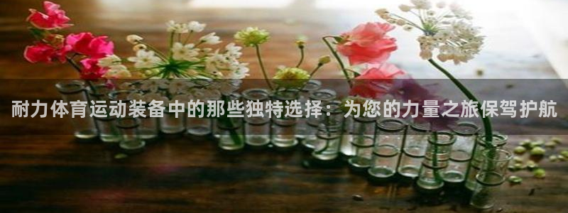 oety欧亿体育官网下载招商电话是多少号码:耐力体育运动装备