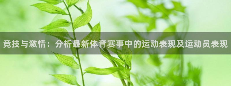 欧亿体育官方正版app集团:竞技与激情:分析最新体育赛事中的