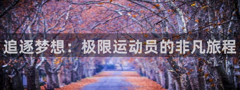 oety欧亿体育官网下载是干嘛的公司:追逐梦想:极限运动员的