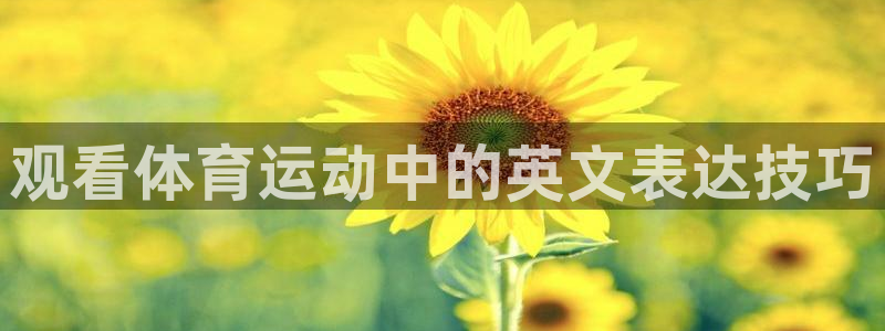oety欧亿体育官网下载招商电话地址:观看体育运动中的英文表